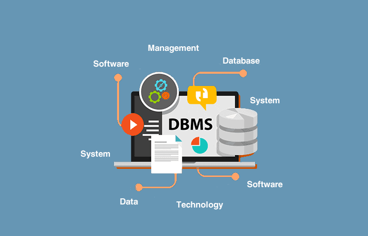 DBMS